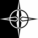 Life Expectancy - Sisters Surviving & Thriving