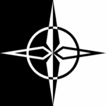 Life Expectancy - Sisters Surviving & Thriving